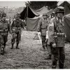 mg 917